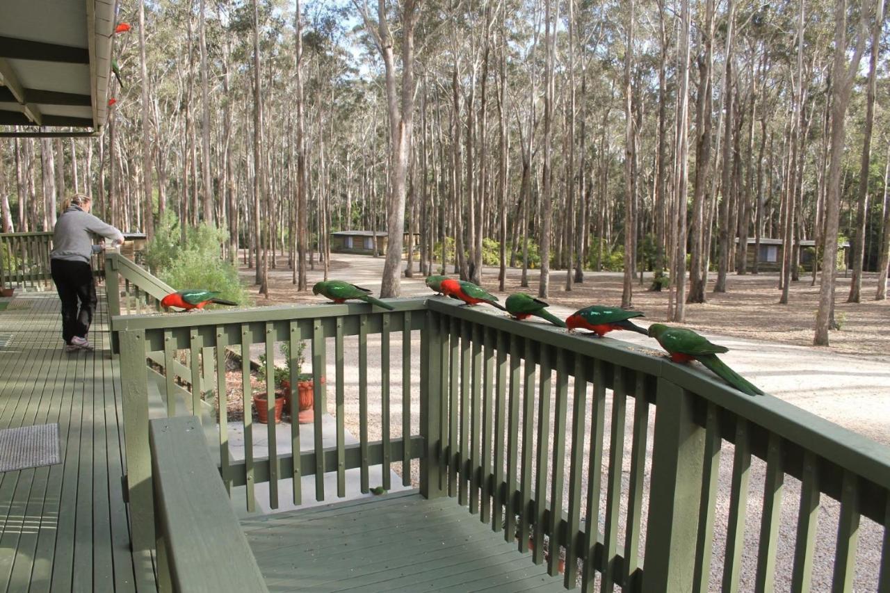 Lakes Entrance Log Cabins エクステリア 写真
