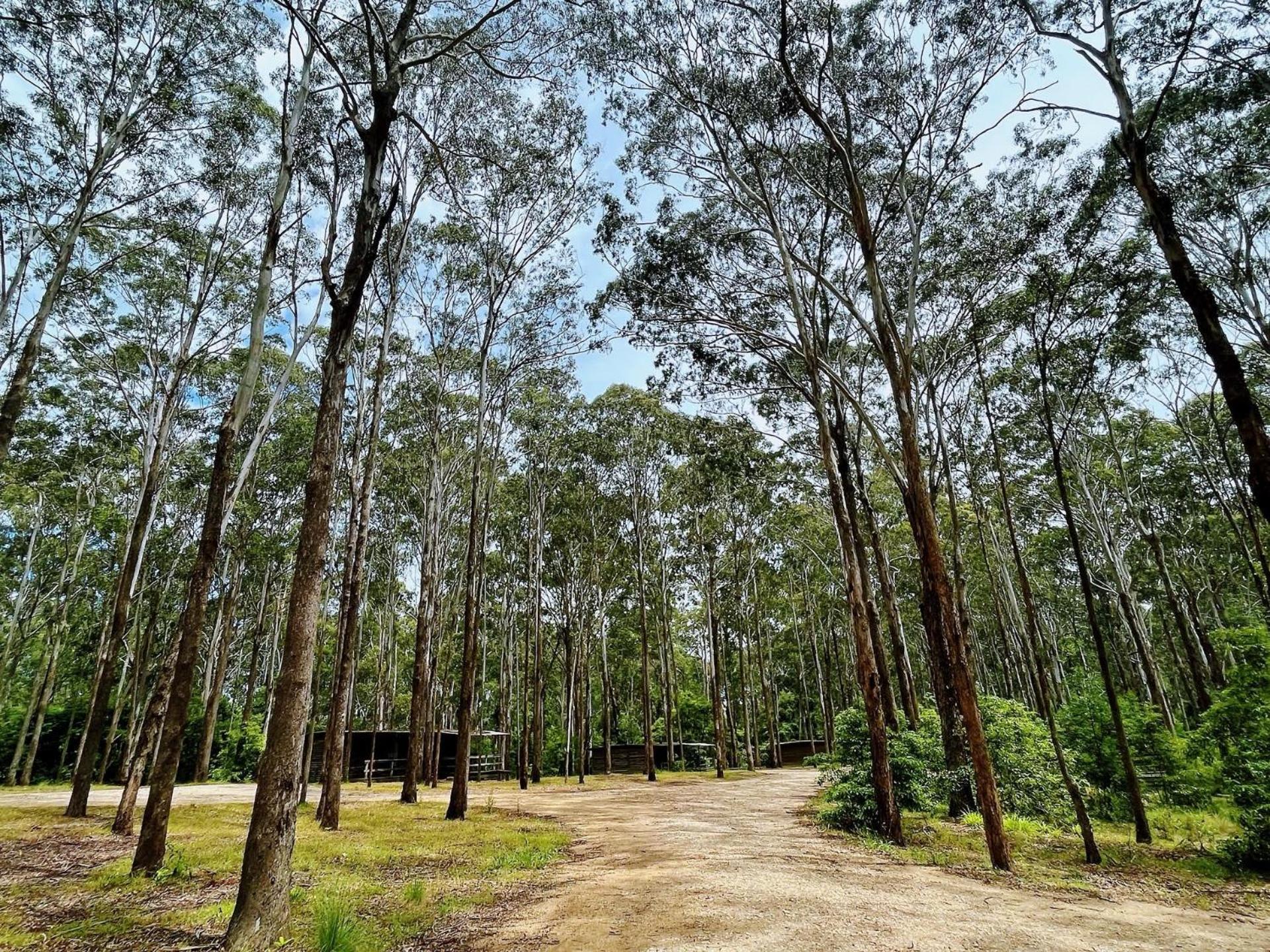 Lakes Entrance Log Cabins エクステリア 写真